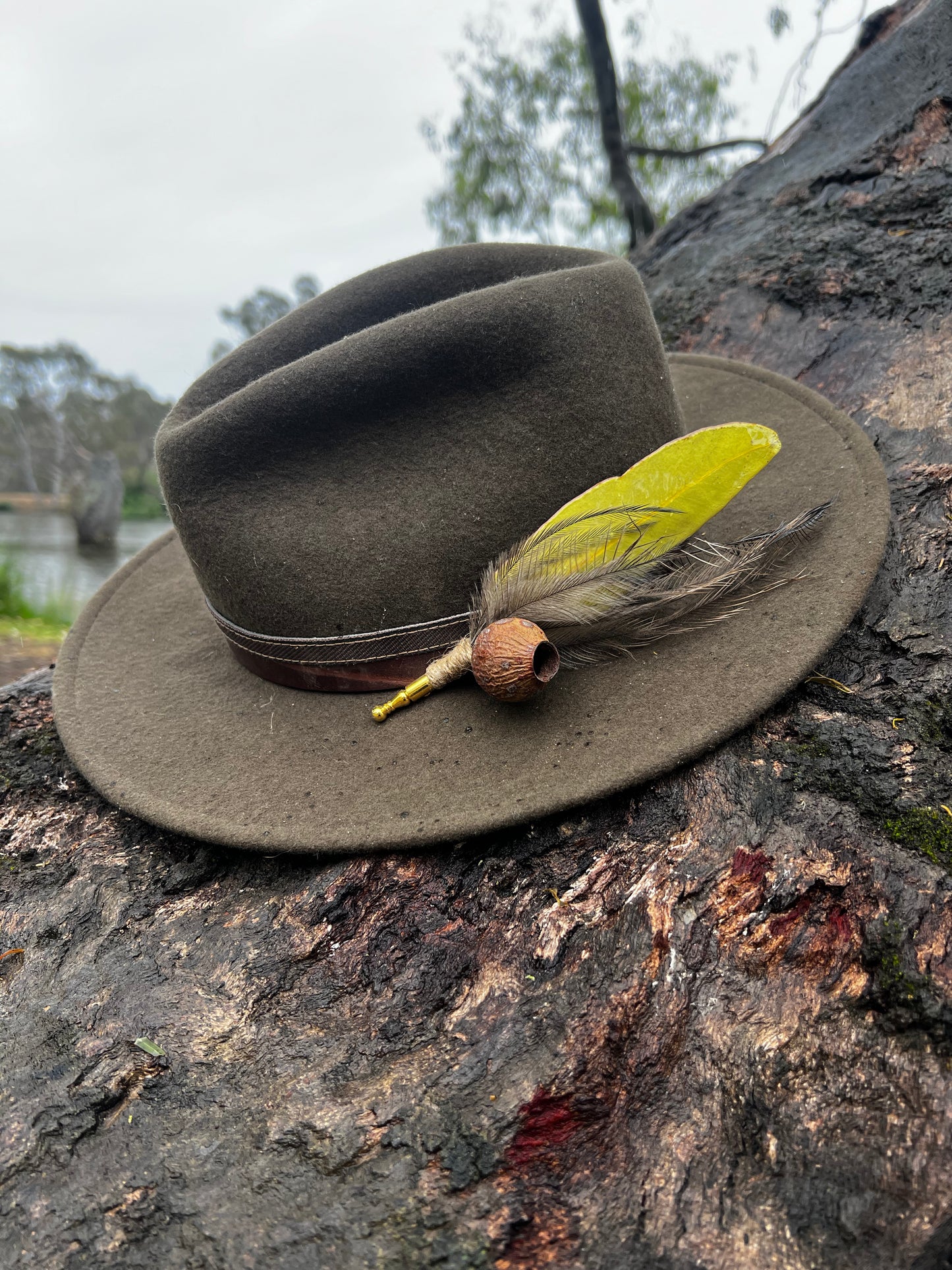 Jarrah