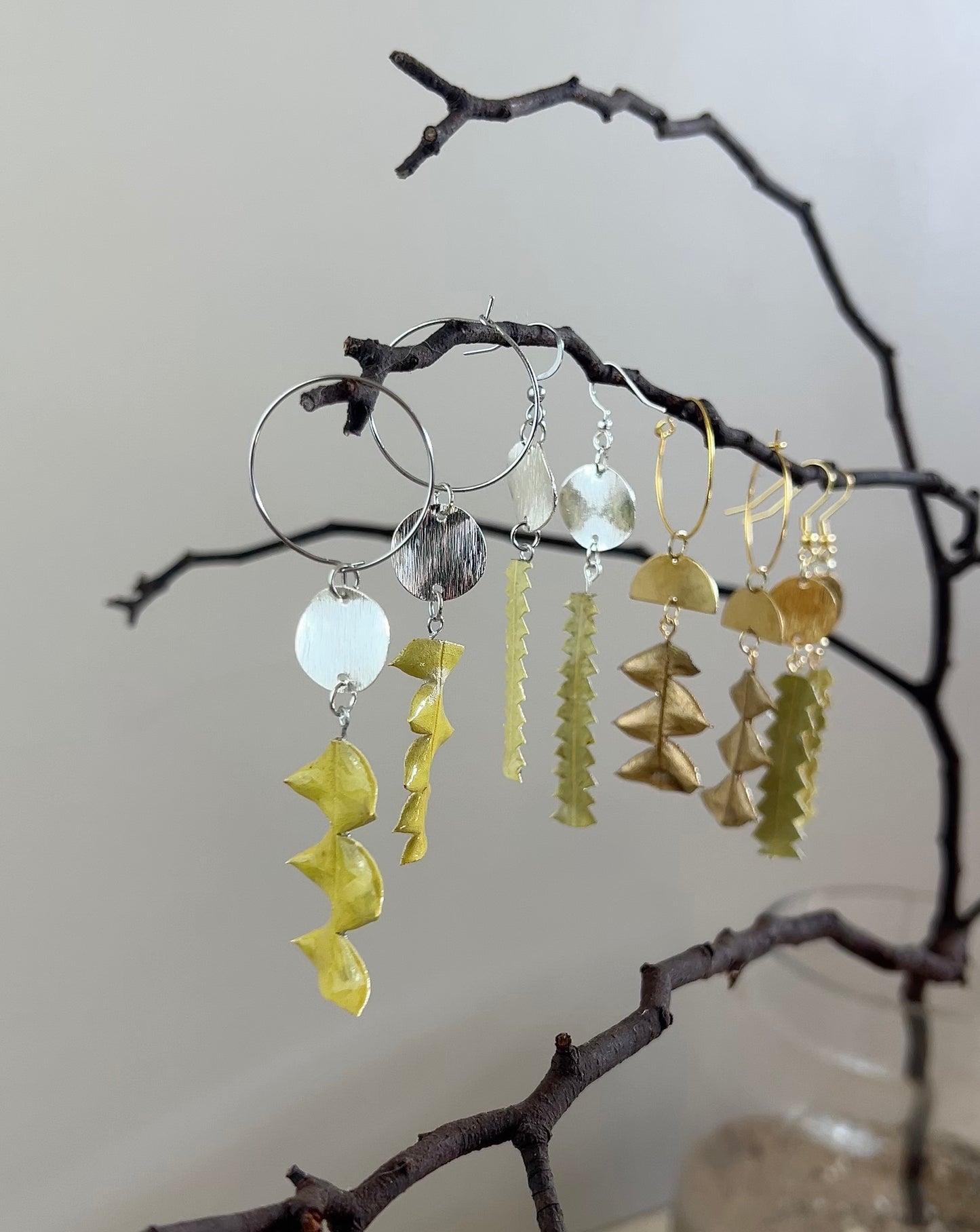 Set of earrings hanging from a branch against a neutral background