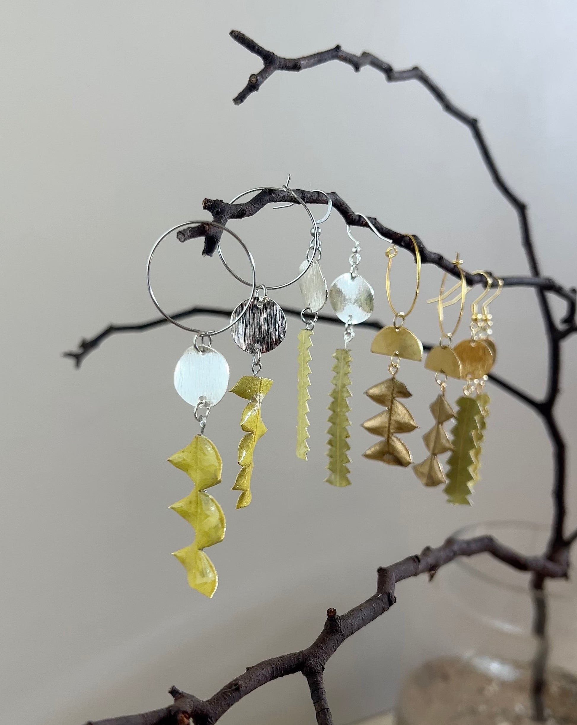 Set of earrings hanging from a branch against a neutral background