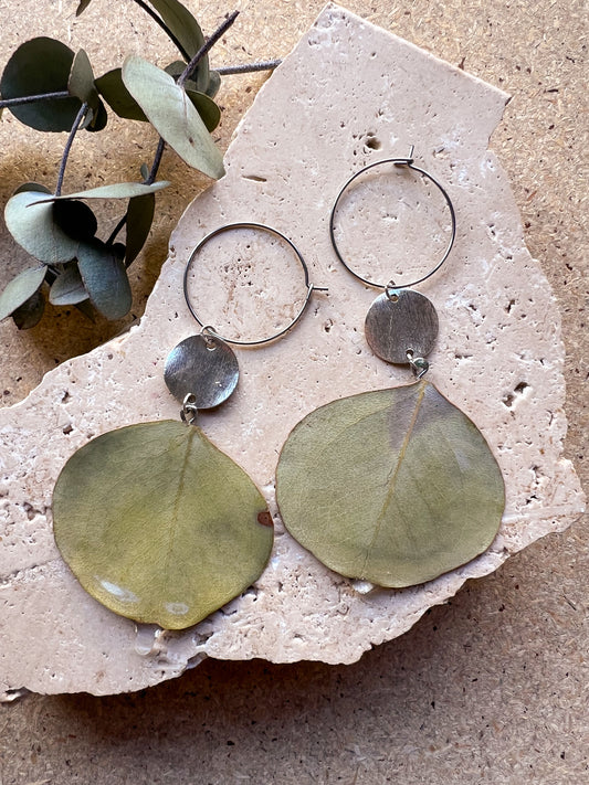 Silver and Gold earrings with leaf-like pendants on a stone surface with eucalyptus leaves.